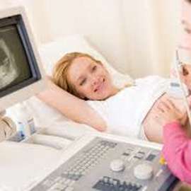 Urological ultrasound
